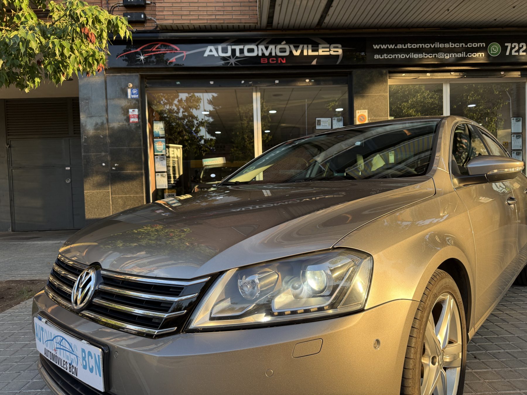 Vw Passat