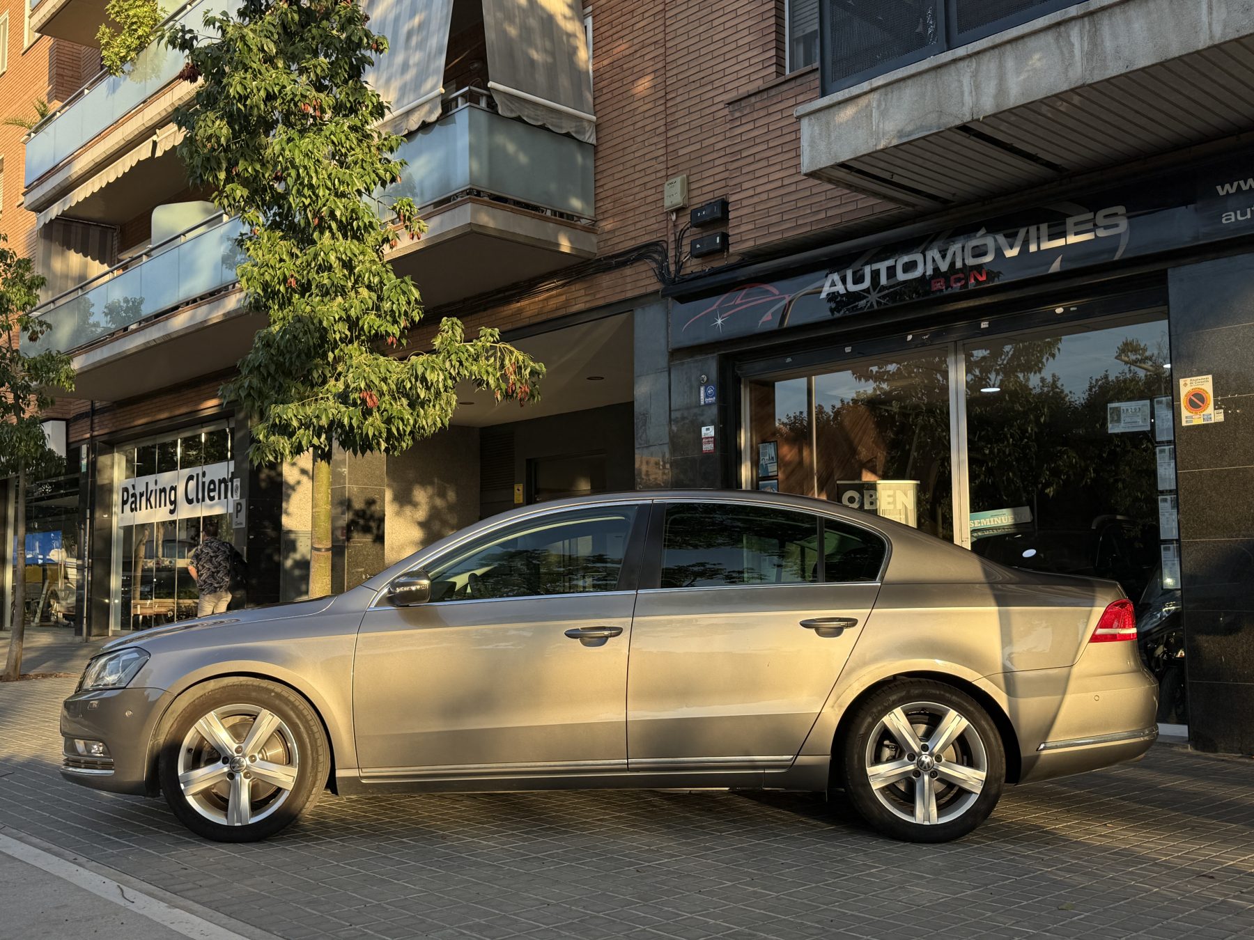 Vw Passat