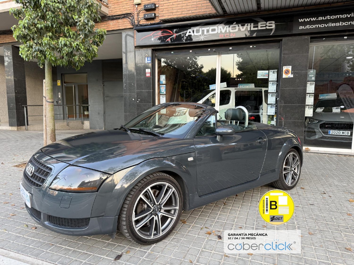 Audi TT Roadster