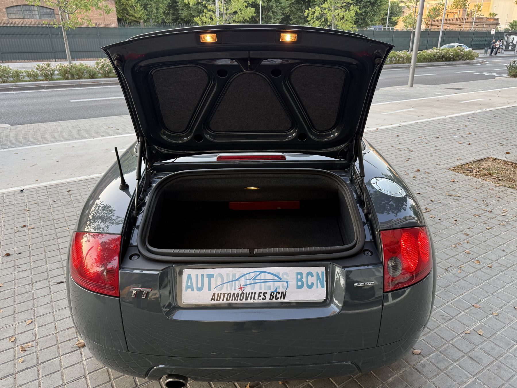 Audi TT Roadster