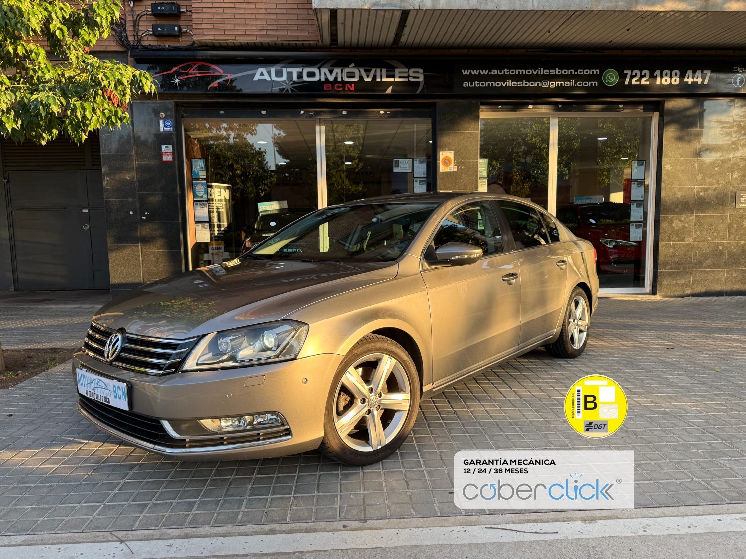 Vw Passat